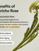 Abib Collagen Eye Crème Jericho Rose Tube gyengéd szemkrém a táplálásért és hidratálásért 30 ml