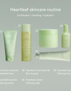 Abib Heartleaf Mild Foam Cleanser nyugtató tisztító hab problémás és pattanásos bőrre 150 ml