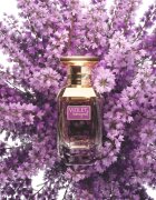 Afnan Violet Bouquet Eau de Parfum hölgyeknek 80 ml