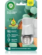 Air Wick Blue Eucalyptus & Cedarwood elektromos légfrissítő töltelékkel 19 ml