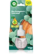 Air Wick Blue Eucalyptus & Cedarwood parfümolaj elektromos diffúzorba 19 ml
