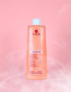 Alama Professional Anti Frizz Gloss Shampoo sampon töredezés ellen 500 ml