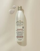 Alfaparf Milano Il Salone Milano Magnificent sampon festett hajra 500 ml