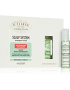 Alfaparf Milano Il Salone Milano Scalp System energizáló szérum hajhullás ellen 6x13 ml