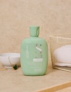 Alfaparf Milano Semi Di Lino Scalp Rebalance sampon zsíros fejbőrre 250 ml