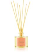 Ambientair COLOURS Pomelo Aroma diffúzor töltettel 100 ml