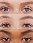 Anastasia Beverly Hills Brow Powder Duo púder szemöldökre árnyalat Medium Brown 2x08 g