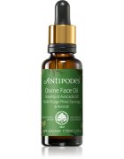 Antipodes Divine Face Oil Rosehip & Avocado Oil védő szérum a bőröregedés első jeleinek eltüntetésére 30 ml