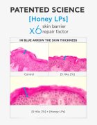 Apivita Bee Tech Concentrates HA5 Honey Repair Serum revitalizáló szérum hialuronsavval 30 ml