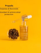 Apivita Beessential Oils Strengthening & Hydrating Day Oil tisztító nappali olaj a bőr intenzív hidratálásához 15 ml