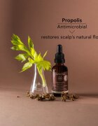 Apivita Dandruff Relief Oil a fejbőr ápolására zsíros korpa ellen 50 ml