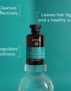 Apivita Oily Hair Oil Balance Shampoo mélyen tisztító sampon a zsíros fejbőrre az erős és fénylő hajért 250 ml