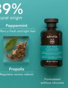 Apivita Oily Hair Oil Balance Shampoo mélyen tisztító sampon a zsíros fejbőrre az erős és fénylő hajért 250 ml