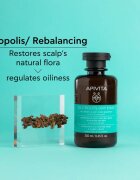 Apivita Oily Roots & Dry Ends Shampoo sampon zsíros fejbőrre és száraz hajvégekre 250 ml