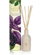 Ashleigh & Burwood London Elderberry & Purple Basil Aroma diffúzor töltettel 150 ml