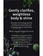 Aveda Rosemary Mint Weightless Conditioner gyengéden ápoló kondícionáló a fénylő és selymes hajért 50 ml