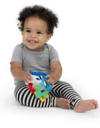 Baby Einstein Ocean Explorers Sea of Sensory Teether Toy rágóka 3 m+ 1 db