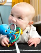 Baby Einstein Opus's Shake & Soothe Teether Toy & Rattle rágóka csörgővel 0 m+ 1 db
