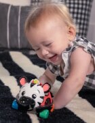Baby Einstein Zen the Zebra™ Curious Car kisautó csörgővel 3 m+ 1 db