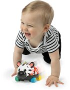 Baby Einstein Zen the Zebra™ Curious Car kisautó csörgővel 3 m+ 1 db