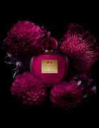 Banderas Her Secret Temptation Eau de Toilette hölgyeknek 50 ml