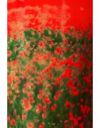 Baobab Collection Arty Flowers Poppies illatgyertya 500 g