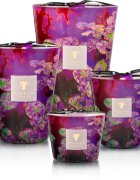 Baobab Collection Arty Flowers Water Lily illatgyertya 1000 g