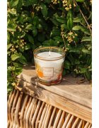 Baobab Collection My First Baobab À Saint-Tropez illatgyertya 190 g