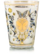 Baobab Collection My First Baobab Tomorrowland illatgyertya 3000 g