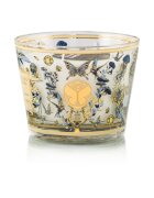Baobab Collection My First Baobab Tomorrowland illatgyertya 500 g