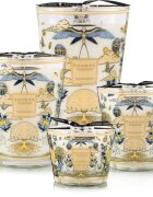 Baobab Collection My First Baobab Tomorrowland illatgyertya 500 g