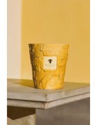 Baobab Collection Paz Dove illatgyertya 1000 g