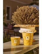 Baobab Collection Paz Dove illatgyertya 1000 g