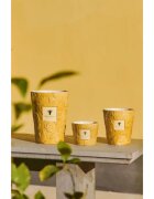 Baobab Collection Paz Dove illatgyertya 1000 g
