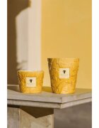 Baobab Collection Paz Dove illatgyertya 500 g
