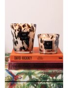 Baobab Collection Pearls Black illatgyertya 500 g