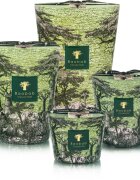 Baobab Collection Sacred Trees Touba illatgyertya 1100 g