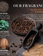 Baylis & Harding Black Pepper & Ginseng ajándékszett pléh doboz uraknak