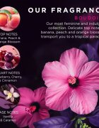 Baylis & Harding Boudoire Tropical Paradise ajándékszett kézre