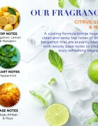 Baylis & Harding Men's Citrus Lime & Mint ajándékszett uraknak