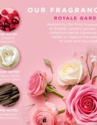 Baylis & Harding Royale Garden Rose Poppy & Vanilla ajándékszett pléh doboz