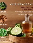 Baylis & Harding The Fuzzy Duck Bergamot Hemp & Sandalwood ajándékszett uraknak