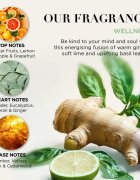 Baylis & Harding Wellness. Energise ajándékszett Ginger Lime & Basil Leaf