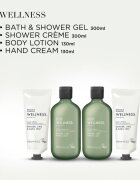Baylis & Harding Wellness. Energise ajándékszett testre Ginger Lime & Basil Leaf