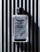 Bentley Momentum Unbreakable Eau de Parfum uraknak 100 ml