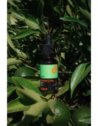 Beviro Bear Oil Summer Line szakáll olaj Summer Line 30 ml