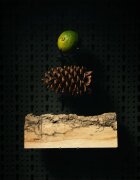 Beviro Bergamia Wood szakáll ápoló olaj fa illattal 30 ml