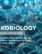 Bioderma Hydrabio Light könnyű hidratáló krém normál és kombinált bőrre 40 ml