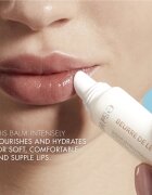 Biotherm Beurre de Lèvres hidratáló ajakbalzsam 13 ml