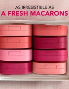 Bourjois Macaron Melt Lip & Cheek Flush arcpirosító 2 az 1-ben árnyalat 05 Berry Smoothy 5 g